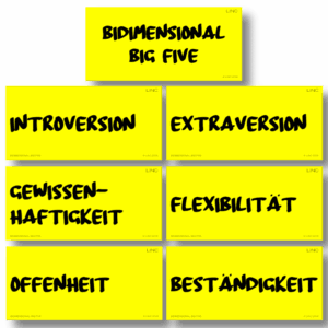 Moderationskarten „BIDIMENSIONAL BIG FIVE“ – LINC Personality Profiler
