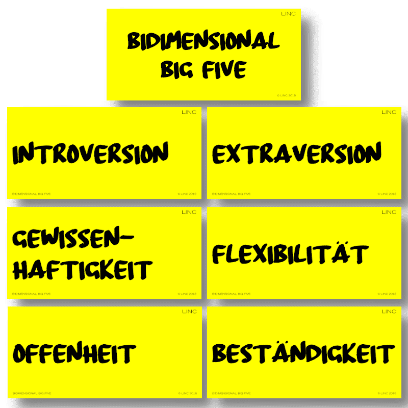 Moderationskarten „BIDIMENSIONAL BIG FIVE“ – LINC Personality Profiler