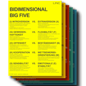 Poster „BIDIMENSIONAL BIG FIVE“ – LINC Personality Profiler