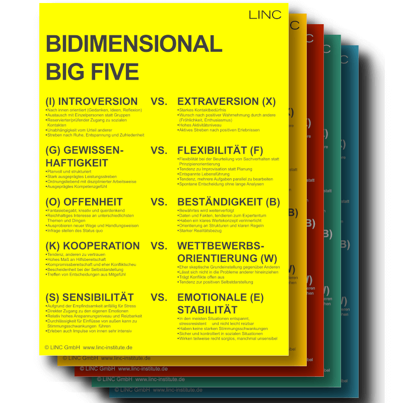 Poster „BIDIMENSIONAL BIG FIVE“ – LINC Personality Profiler