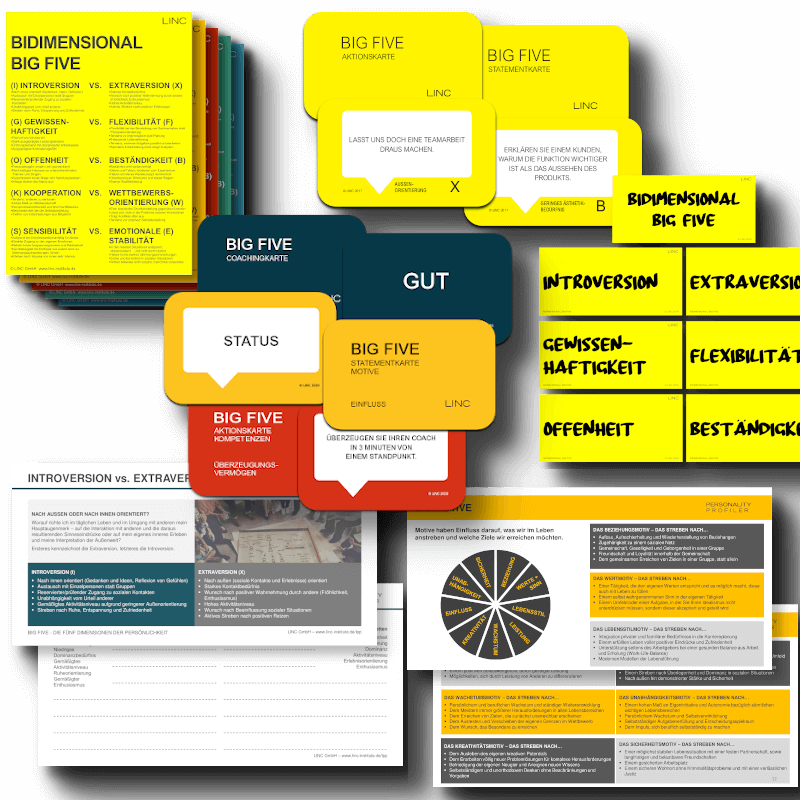 Trainer Set für LINC-Coaches – LINC Personality Profiler