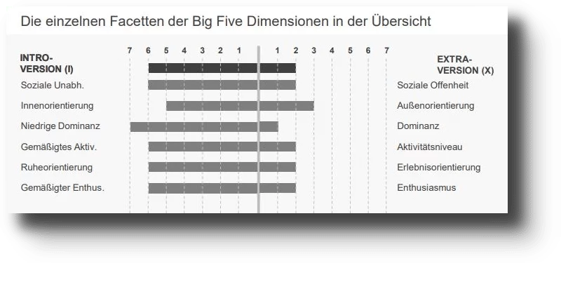 Messung auf Facettenebene – LINC Personality Profiler